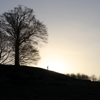 Landscapes