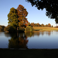 Landscapes