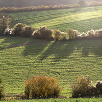 Landscapes
